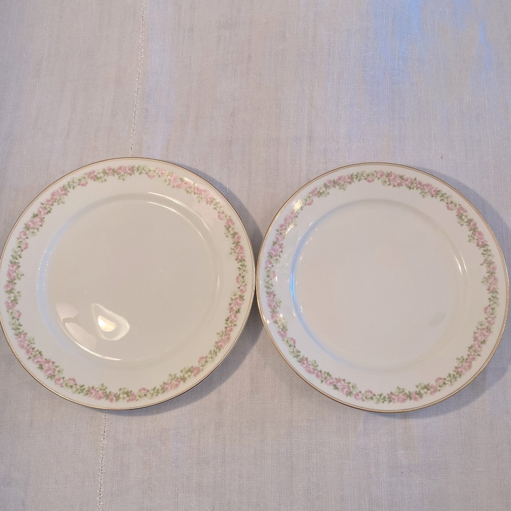 2 Vintage 10” white dinner plates - Pope & Gosser China pink & green flowers